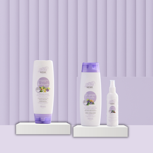 Kit Anticaída KESH