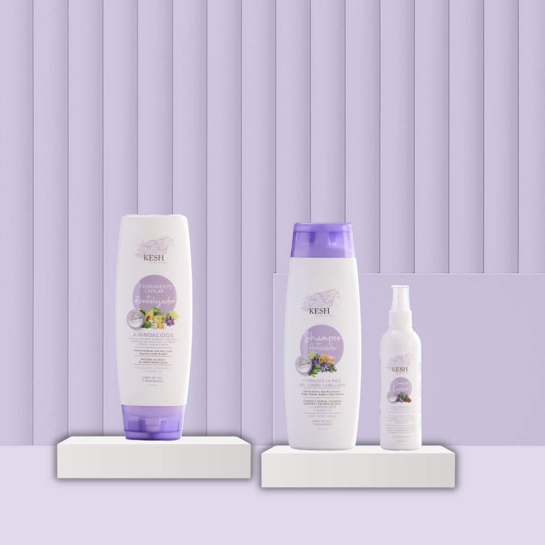 Kit Anticaída KESH